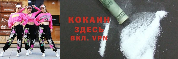 дмт Жердевка