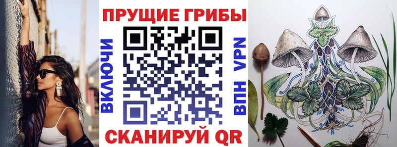 Галлюциногенные грибы Psilocybe  Нарьян-Мар 