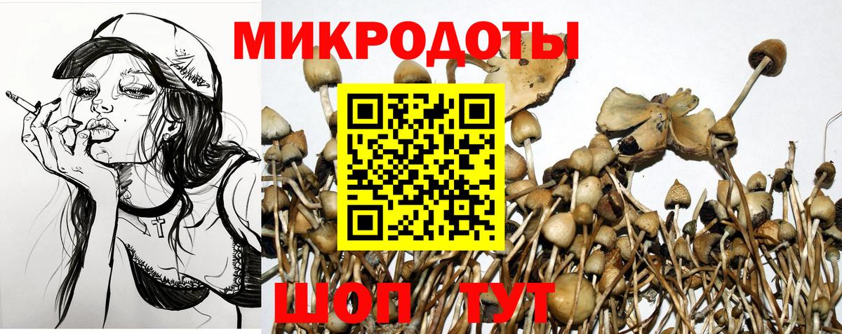 Галлюциногенные грибы мухоморы  Псилоцибиновые грибы Cubensis  Вход с VPN  Нарьян-Мар 